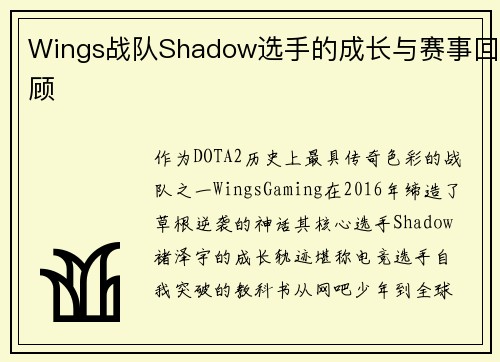 Wings战队Shadow选手的成长与赛事回顾